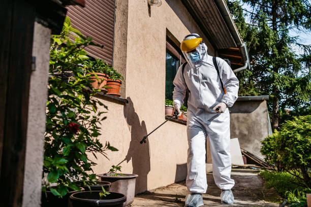 Best Emergency Pest Control  in Christiansburg, VA