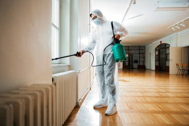 Insect Control in Christiansburg, VA