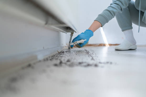 Best Best Pest Control Near Me  in Christiansburg, VA