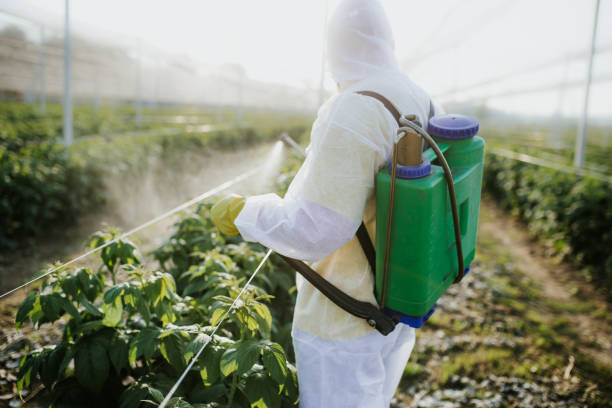 Best Mosquito Control Services  in Christiansburg, VA